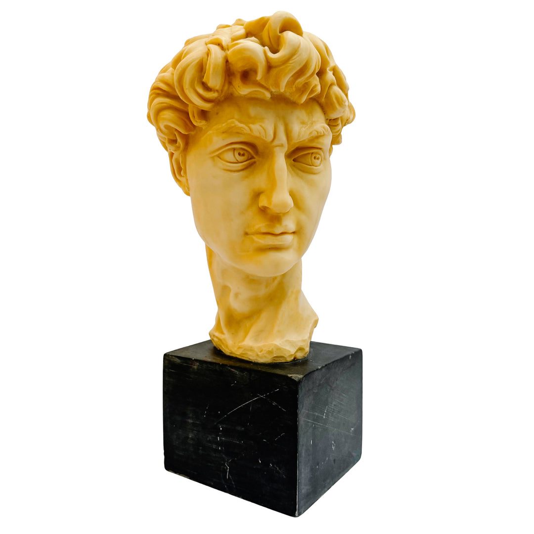 Vintage Italian A. Santini Michelangelo’s David Bust Sculpture on Composite Stone Base