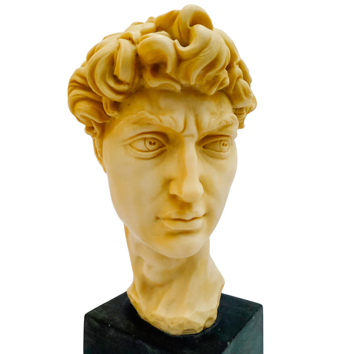 Vintage Italian A. Santini Michelangelo’s David Bust Sculpture on Composite Stone Base