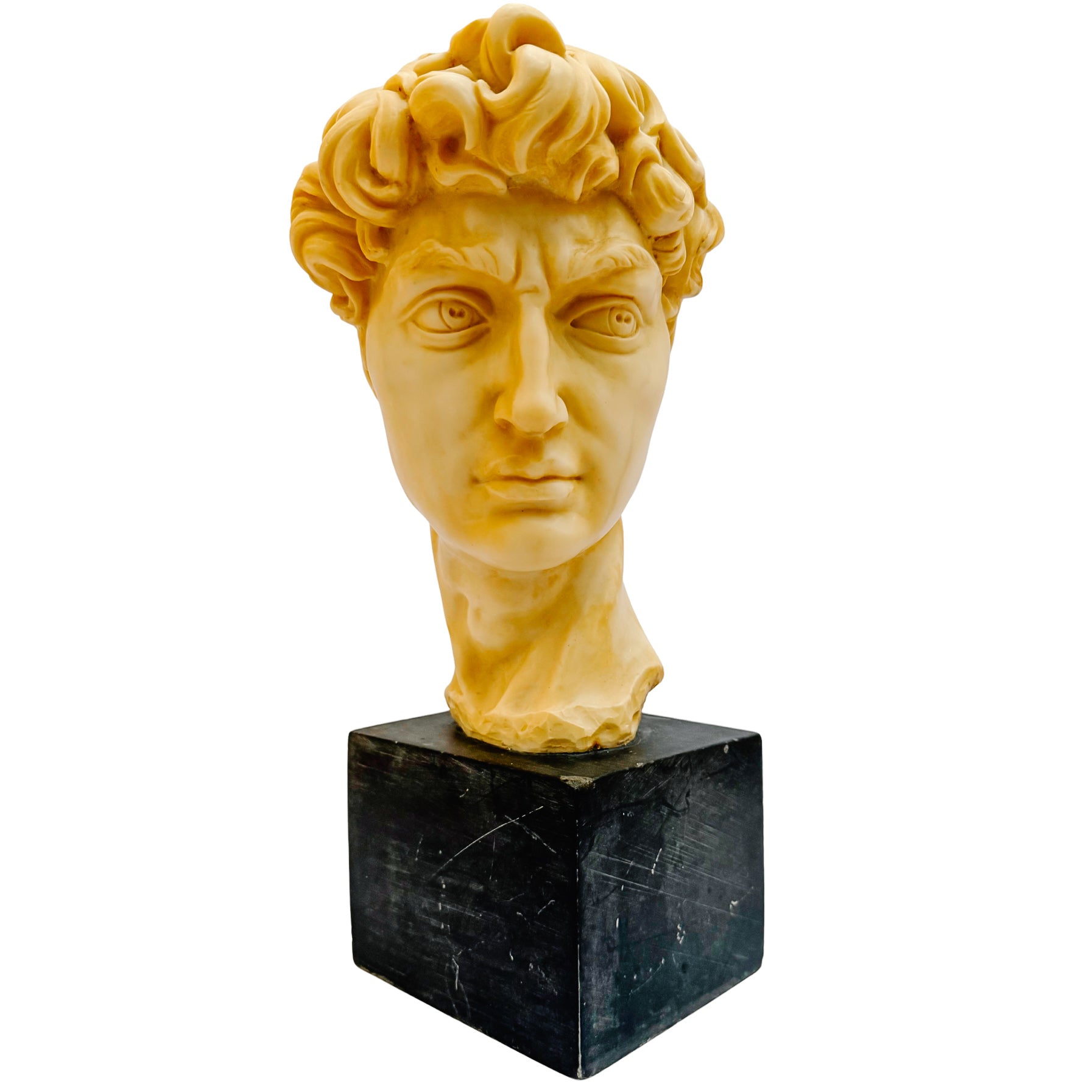 Vintage Italian A. Santini Michelangelo's David Bust
