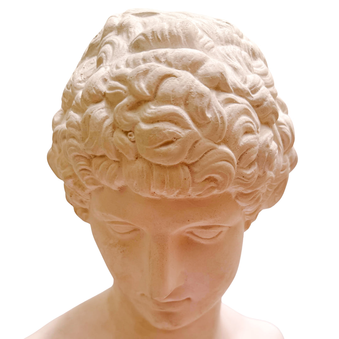 Large Scale Antinous Plaster Bust