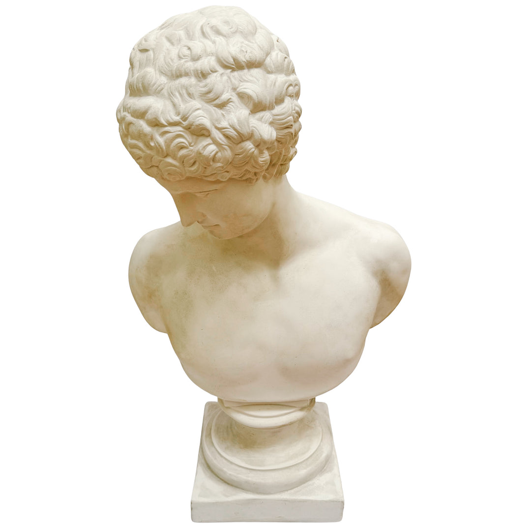 Large Scale Antinous Plaster Bust