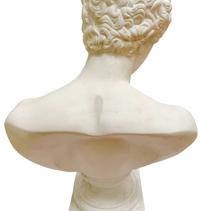 Large Scale Antinous Plaster Bust