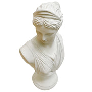 Vintage Plaster Bust of Goddess Diana of Versailles