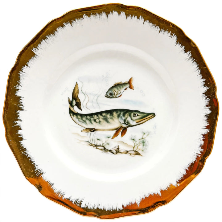 Vintage German Porcelain Fish Service Set – 6 Dinner Plates & Large Platter by Hutschenreuther Hohenberg (5)