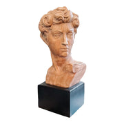 1960s American Reproduction Of Michelangelo’s David Head
