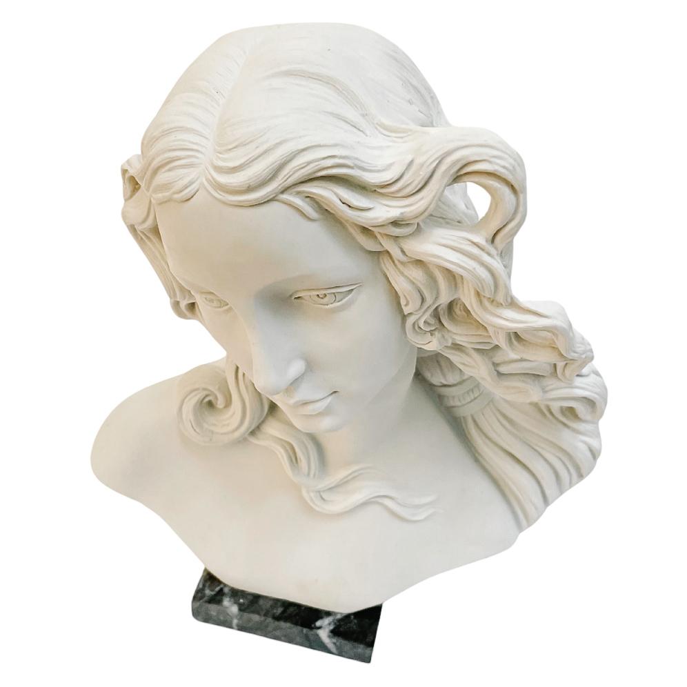 Italian Bust of Goddess Venus on Marble Base