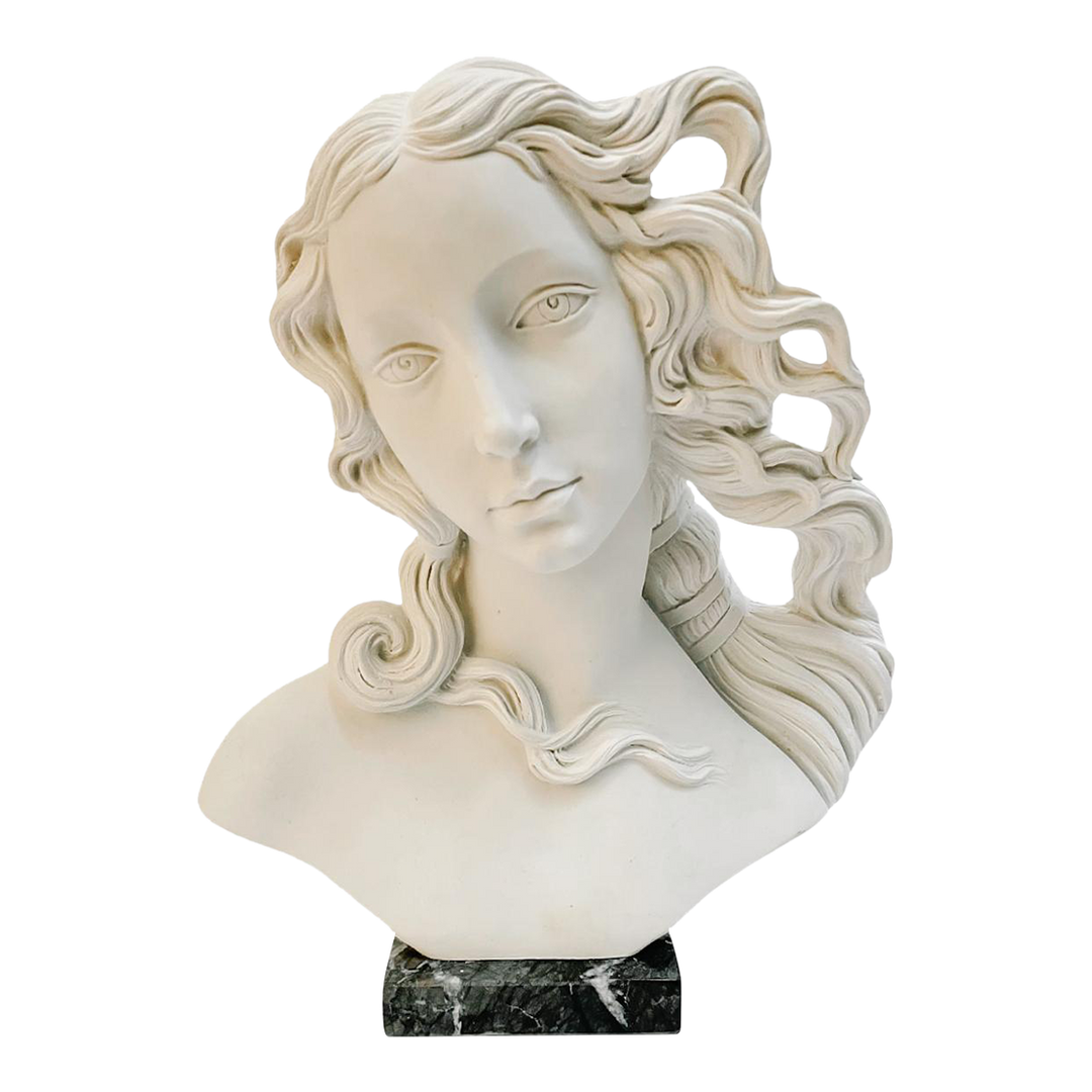 Italian Bust of Goddess Venus on Marble Base