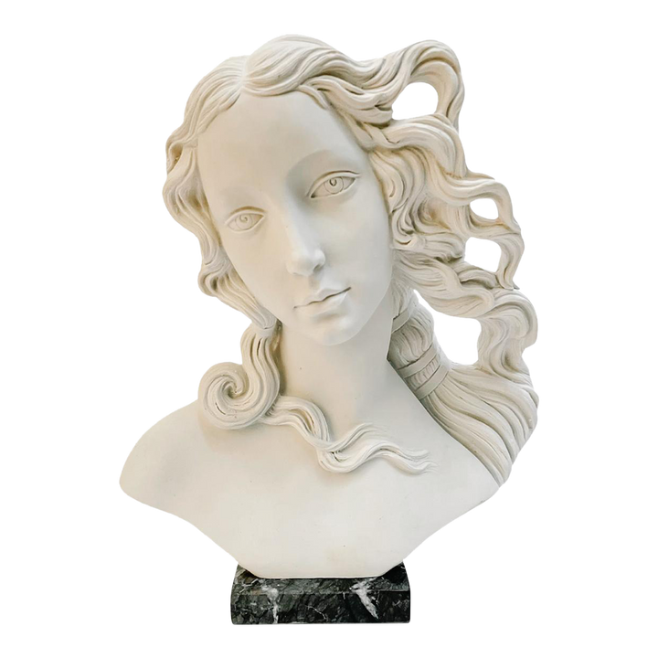 Italian Bust of Goddess Venus on Marble Base