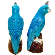 Mid-Century Chinese Porcelain Turquoise Parrot Figurines