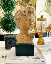 1960s American Reproduction Of Michelangelo’s David Head