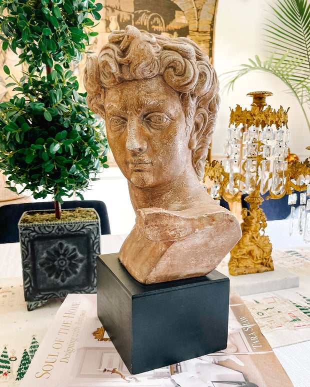 1960s American Reproduction Of Michelangelo’s David Head