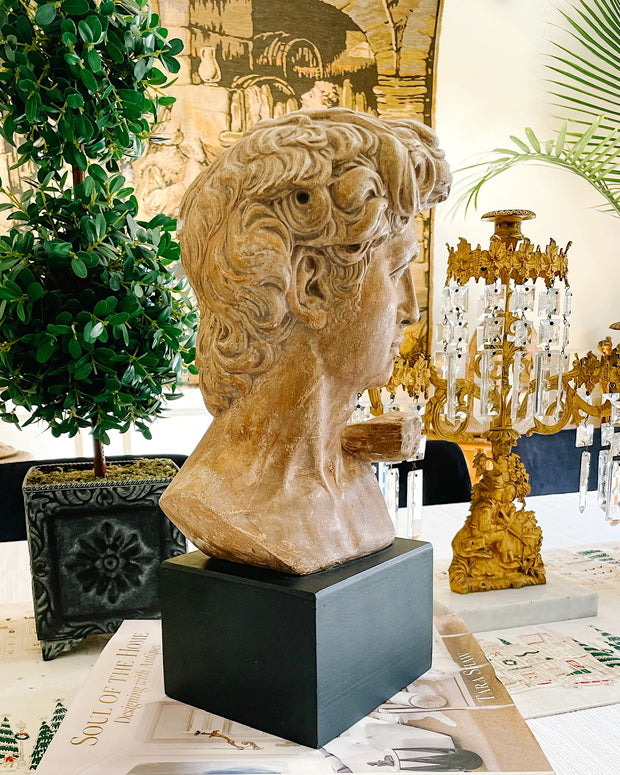 1960s American Reproduction Of Michelangelo’s David Head