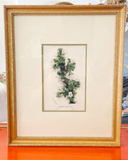 Framed Horto Van Houtte Botanical Chromolithograph